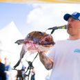 Food Festival har fokus på aktuelle emner. I år er det blandt andet fiskeopdræt, som aarhusianske Fiske-Clausen har skabt debat om. Fiskehandleren holder auktion og bingo på festivalen. Foto: Sophie Due