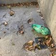 Syrebomben, der blev fundet på Virupskolen. Foto: TV2 Østjylland.