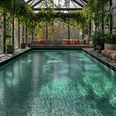 Belle Guldsmeden får i anden sals højde en pool i et glashus dækket af grønne planter. Der bliver et kig både til himlen og til Kulbroen fra den. Presseillustration: Hotel Guldsmeden