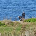 Foto: Øxenholt Foto