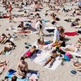 Temperaturerne viser sig fra sin sommerlige side og lander mellem 18 og 23 grader. Foto: Thomas Borberg/Ritzau Scanpix