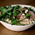 Restauranten Grød, der er kendt for sit stor udvalg af grødretter, har fået en sur smiley for uhygiejniske forhold hos restauranten i Aarhus. Arkivfoto: Joachim Adrian