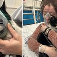 Både Kitti og Lisa Kastrup ligger nu på Regionshospitalet Randers. Foto: Privat