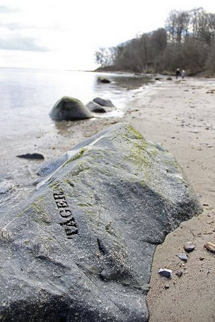 Turen går til... Skovene ved Moesgaard Strand - Din Avis