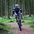 Blandt andet mountainbikerne, der bruger Marselisborgskovene til at udfolde deres sport, har rettet kritik af det oprindelige forslag med indhegnede større dyr i skoven. Arkivfoto: Gorm Olesen.