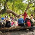 Træerne er omdrejningspunkt for alle aktiviteter i Strandbakkehuset i efterårsferien. Pressefoto