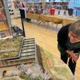 Afdelingsleder Irene Bartholin Poulsen kigger ind i sit eget kontor. Foto: Jeppe Rafn