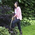 Rikke Kryger fra Åbyhøj ved Aarhus har succes med hjemmesiden Mellemhaver.dk, hvor man finde havetips eller bytte sig til nye planter.