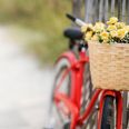 En vaks kvinde lånte tirsdag aften sin cykel til politiet, så de kunne fange en efterlyst mand i Esbjerg.