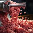 Der var rod med mærkningerne og ifølge rapporten skal cateringfirmaet blandt andet også have anvendt vakuumpakket oksekød 19 dage efter slagtetidspunktet - på trods af maksgrænsen er 15 dage. Arkivfoto: Adobe Stock