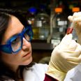 UngScience er et ny projekt i Skanderborg Kommune, der består af en række aktivitetsforløb, som skal opløfte science fra at være kedelig teori til at blive spændende og konkrete erfaringer i fx hverdagssituationer.