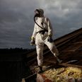 Så meget sikkerhedsudstyr skal du have på, for at håndtere asbestaffald som det på legepladsen ved Børnehuset Munkdrup. På billedet ses tømrer Thomas Jørgensen som arbejder med asbest til daglig. Arkivfoto