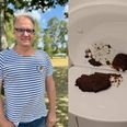 Indehaver af Grenaa Strand Camping Michael Lip er dybt frustreret over, at han og resten af holdet på campingpladsen igennem tre uger har skullet kæmpe med menneskelige efterladenskaber, der er efterladt steder, hvor de absolut ikke hører hjemme.