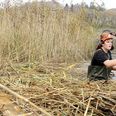 Skov- og Naturteknikereleverne fra Skovskolen omsætter teori til praksis, når de fjerner den massive tilgroning ved Ramten og Dystrupsøerne og forbedrer naturkvaliteten i området.