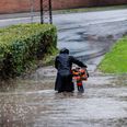 Onsdag forventer DMI, der falder en del regn - ikke blot i Østjylland, men i hele landet. Foto: Casper Dalhoff/Ritzau Scanpix