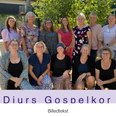 Djurs Gospelkor har eksisteret i 17 år og har et unikt fællesskab, hvor der også er plads til nye. Pressefoto.