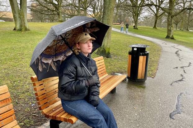 Artiklens øverste billede