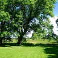 Der er familiegudstjeneste under åben himmel i den gamle præstegårdshave i Grundfør. Pressefoto