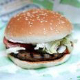 Den vegetariske burger fra Burger King 'Rebel Whopper' kunne godt være opkaldt efter manden. Foto: Jens Dresling.