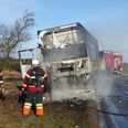 Foto: Øxenholt foto