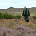 Anlæggelsen af naturnationalparkerne vil med en merudledning af 1 mio. tons CO2 gøre Miljøministeriet til en af Danmarks største klimasyndere på størrelse med Aalborg Portland, mener tidligere statsskovrider Bo Holst-Jørgensen. Arkivfoto: Johan Mikkelsen