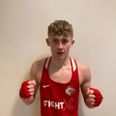 Ambitiøse Mikkel Gribsholt blev igen den lille i tvekampen mod fynske Elias Faour, Vollsmose Boxing. Arkivfoto