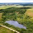 Lysnet er Favrskov Kommunes højeste punkt med sinde 131 meter over havet. Foto: Wulff