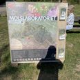 Fra 15. april, bliver samtlige plancher og skilte, hvor der står “Molslaboratoriet”, skiftet ud og erstattet med Hempel Fondens logo og navn. Foto: Lars Norman Thomsen