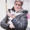 Dorthe Christensen fik sin elskede kat Mivsen hjem efter tre måneder og en 100 kilometers udflugt.