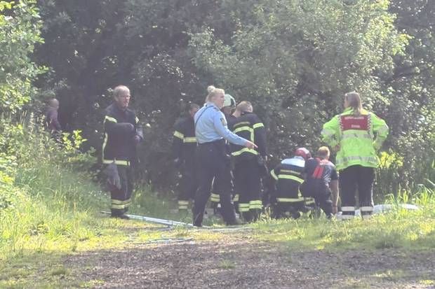 Artiklens øverste billede