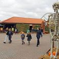 Selv om 2020 har været atypisk, så rundede Djurs Sommerland traditionen tro året af med (u)hyggelig Halloween-stemning i parken.