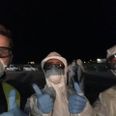 Ansatte fra de danske myndigheder fotograferet i Gevonas lufthavn under evakueringen i nat. Foto: Udenrigsministeriet