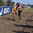 Der er gang i løbefesten ved Moesgaard Museum. Fem atleter fra Eritrea er dog fortsat forsvundet.
