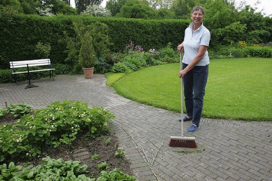 Artiklens øverste billede