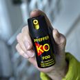 Peberspray er et ulovligt våben. Arkivfoto: Henning Bagger/Ritzau Scanpix
