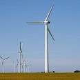 Vestas-aktien har i den grad luft under vingerne i 2025, hvor den er blevet 77 procent mere værd. - Foto: Morten Rasmussen/Ritzau Scanpix