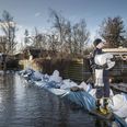 Beredskabsstyrelsen på arbejde i Jyllinge Nordmark ved Roskilde Fjord.(Foto: Mads Claus Rasmussen/Ritzau Scanpix)