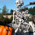 Snart forvandles Djurs Sommerland til Magisk Halloween og Djurs Sommerland After Dark i efterårsferien. Foto: Djurs Sommerland