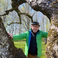 Præstegårdshaven i Storring har gennem årene haft en særlig plads i Carsten Marvigs hjerte. Den er måske landets største og rummer flere over hundrede år gamle træer. Pressefoto