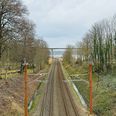 En nedrevet køreledning er mandag morgen årsag til problemer i togtrafikken. Foto: Presse-fotos.dk.