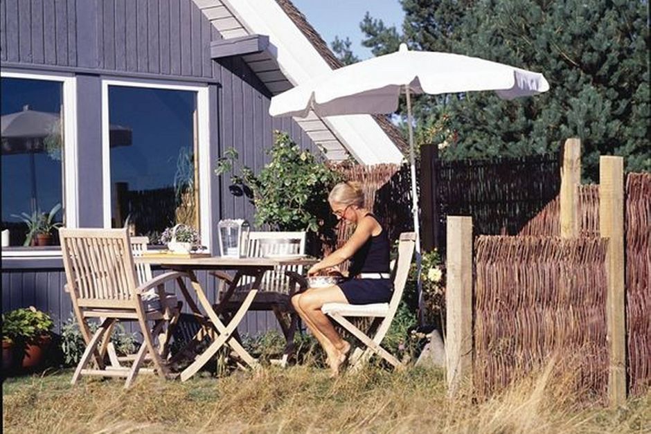 Artiklens øverste billede