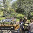 Foto: Der er masser af landlig idyl og smukke omgivelser hos Skolen.com i Homå - men nu leverer en stribe forældre til tidligere elever grove anklager om skolens daglige drift.