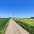 Marker i det åbne landskab ved Nr. Galten, hvor der planlægges et meget stort solcelleanlæg. Privatfoto