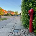 Favrskov Kommune vil på opfordring fra Beredskab & Sikkerhed fjerne næsten 200 inaktive brandhaner i kommunen. Arbejdet bliver spredt ud på mange år, og den samlede regning estimeres at løbe op i ca. fem mio. kr. Foto: Cecilie Bisgaard