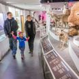 På Naturhistorisk museum kan man fordybe sig i det mylder af dyreliv der er på jorden. Foto Naturhistorisk Museum