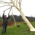 Martin Bjerregaard Jensen måtte i sidste uge klippe den knækkede gren af kunstværket. Først til sommer kan den sættes på igen.