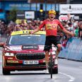 Foto: Anne-Christine Poujoulat/AFP/Ritzau Scanpix