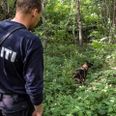 Arkivfoto: Per Rasmussen