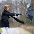 Foto: Adobe Stock
