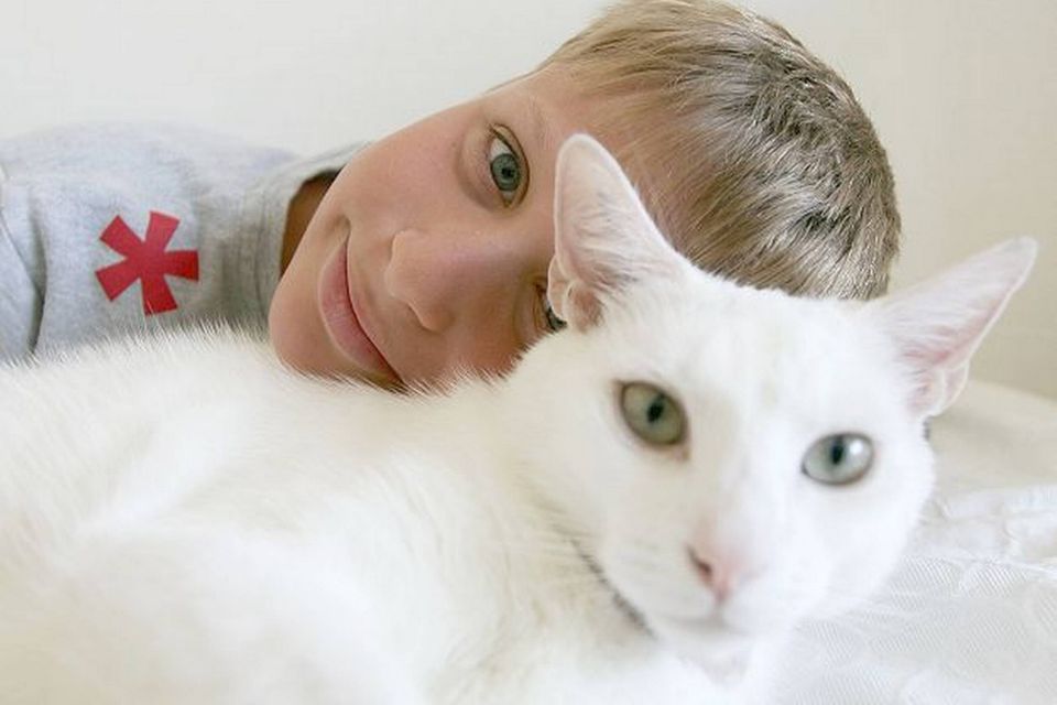 To katte skudt med luftgevær - Din Avis